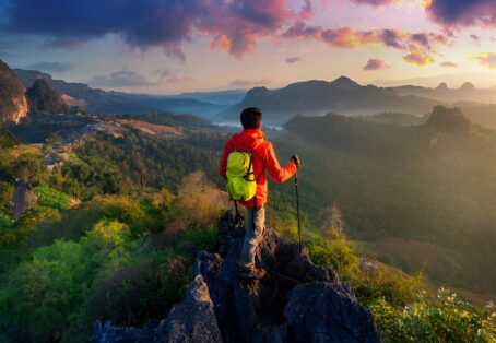 Wildlife Safari Adventure with Local Expert Guide